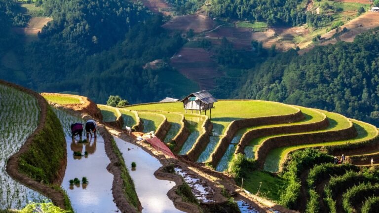 Tonkin Vietnam Travel: Agence Francophone au Vietnam