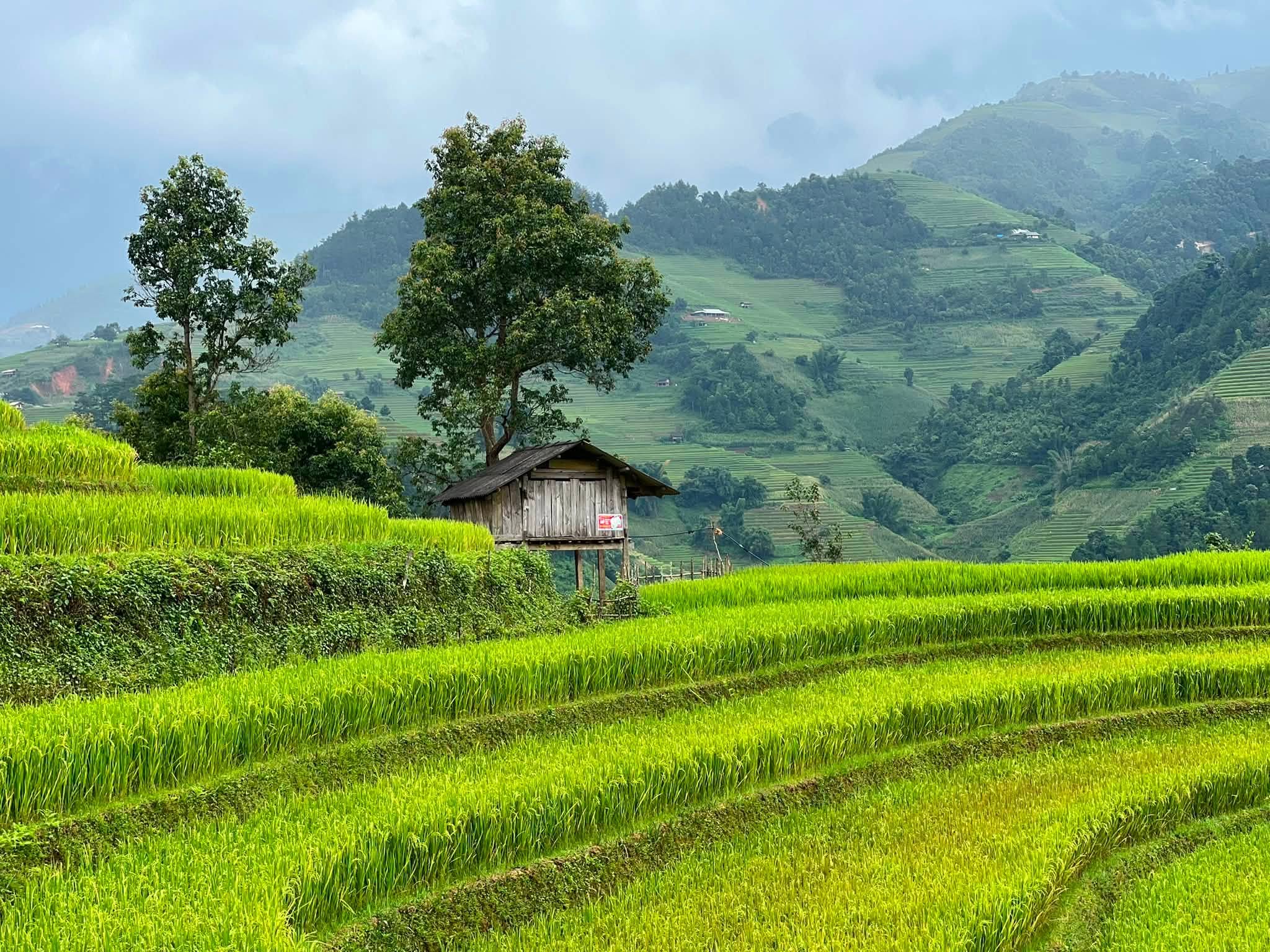 Visiter Nord: Tonkin Vietnam Travel